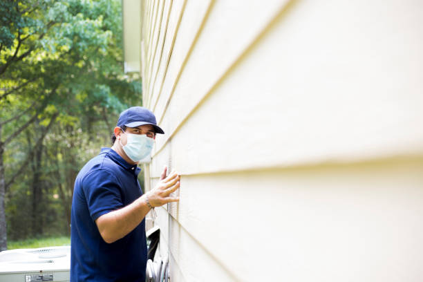 Best Siding Painting and Refinishing  in Cutlerville, MI